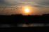 Fall Sunset