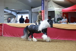 SBM_06370