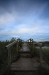 Marsh Bridge