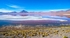 Flamingoes on Red Lake, High Altiplano, Bolivia.