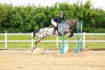 SBM_000337
