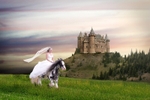 castle_on_a_hill_1veil