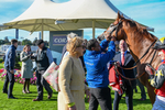 141023-Race 3-Montassib-8913