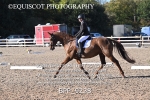 BPP_9238