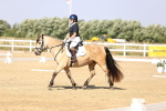 SBM_002725