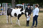 WJ6_4203
