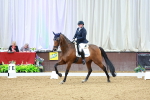 SBM_002951