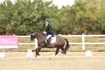 SBM_002657
