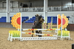 SBM_005333
