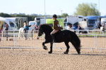 SBM_08881