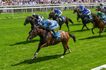 230526-Race 1-Lord Roxby-0300