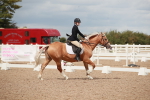 SBM_05888
