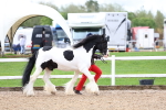 SBM_00255