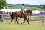 SBM_14998