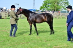 SBM_00947