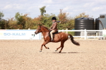 SBM_14386