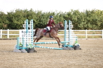 SBM_006291