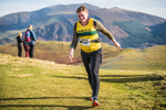 Sale Fell-637