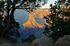 South Rim-5