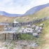 Hill Sheep