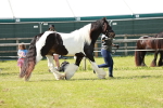 SBM_08759