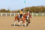 SBM_000272