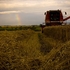 Hay Harvest