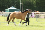 SBM_02149