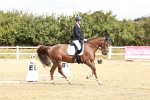 SBM_010118