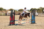 SBM_000667