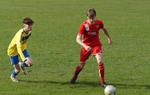 DSC01736
