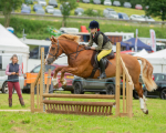 Dunblane show-154