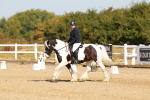 SBM_016736