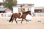 SBM_12827