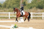 SBM_009201