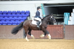 SBM_001764