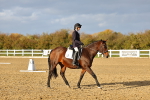 SBM_002724