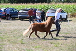 WJ6_4815