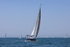 190629 FIREFLY GBR8078R 1Y3A0787