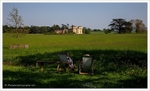Croome Hall