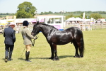 SBM_07180