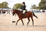 SBM_14274