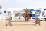SBM_07461