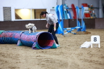 SBM_005890