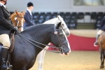 SBM_24121