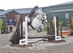 CLASS 1 Nursery Novice Working Hunter portfolio