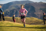 Sale Fell-426