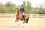 SBM_007457