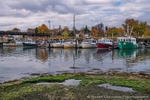 Autumn Fleet