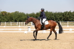 SBM_004293